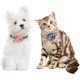 thumbnail image 5 of Flower Cat Dog Collar- Stylish Bow Tie Collar, Dog Necklace with Bell for Small and Medium Pets, Cat Costume for Party W, 5 of 5