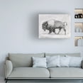 thumbnail image 3 of Emma Scarvey 'Wild Bison Study II' Canvas Art, 3 of 3