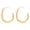 Gold, variant on Gold Sun Earrings for Women 18k Gold Plated Titanium Steel Huggie Hoop Earrings with Sun Charm Lightweight Hypoallergenic