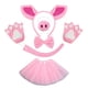 thumbnail image 1 of Set de disfraz para niños, diadema de cerdo rosa con falda, 7 piezas, 1 of 2