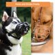 thumbnail image 4 of Bozal para perro, sin corteza, con forma de cesta, para morder, negro (M), 4 of 7