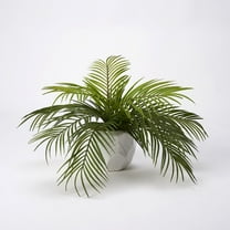 D & W Silks Hawaiian Palm in White Ceramic Planter