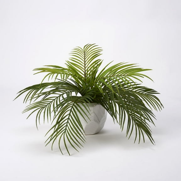 D & W Silks Hawaiian Palm in White Ceramic Planter