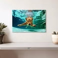 thumbnail image 2 of Elephant Stock Diving Golden Retriever Wall Art - Horizontal Canvas Wall Art - Living Room Wall Decor - Animal Canvas - Blue And Brown Decor - 12" x 8", 2 of 8