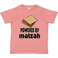 thumbnail image 3 of Inktastic Funny Passover Powered by Matzah Boys or Girls Toddler T-Shirt, 3 of 5