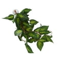 thumbnail image 3 of Simulation Rattan Landscaping, Variety Of Models Climbing Pet Box Green Vine Landscaping  For Aquariums For Daily For Reptile Boxes For Fish Tanks NFF-86 Variegated Leaf, 3 of 8