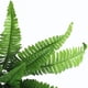 thumbnail image 4 of Hojas persas hojas de helecho artificiales 2 piezas para mesa de comedor ANGGREK Otros, 4 of 8