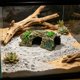 thumbnail image 5 of Cueva de árbol artificial para reptiles con terraza de asoleo y cuevas ocultas para tortugas, lagartos y recintos de reptiles, verde, plástico, múltiples tamaños, 5 of 6