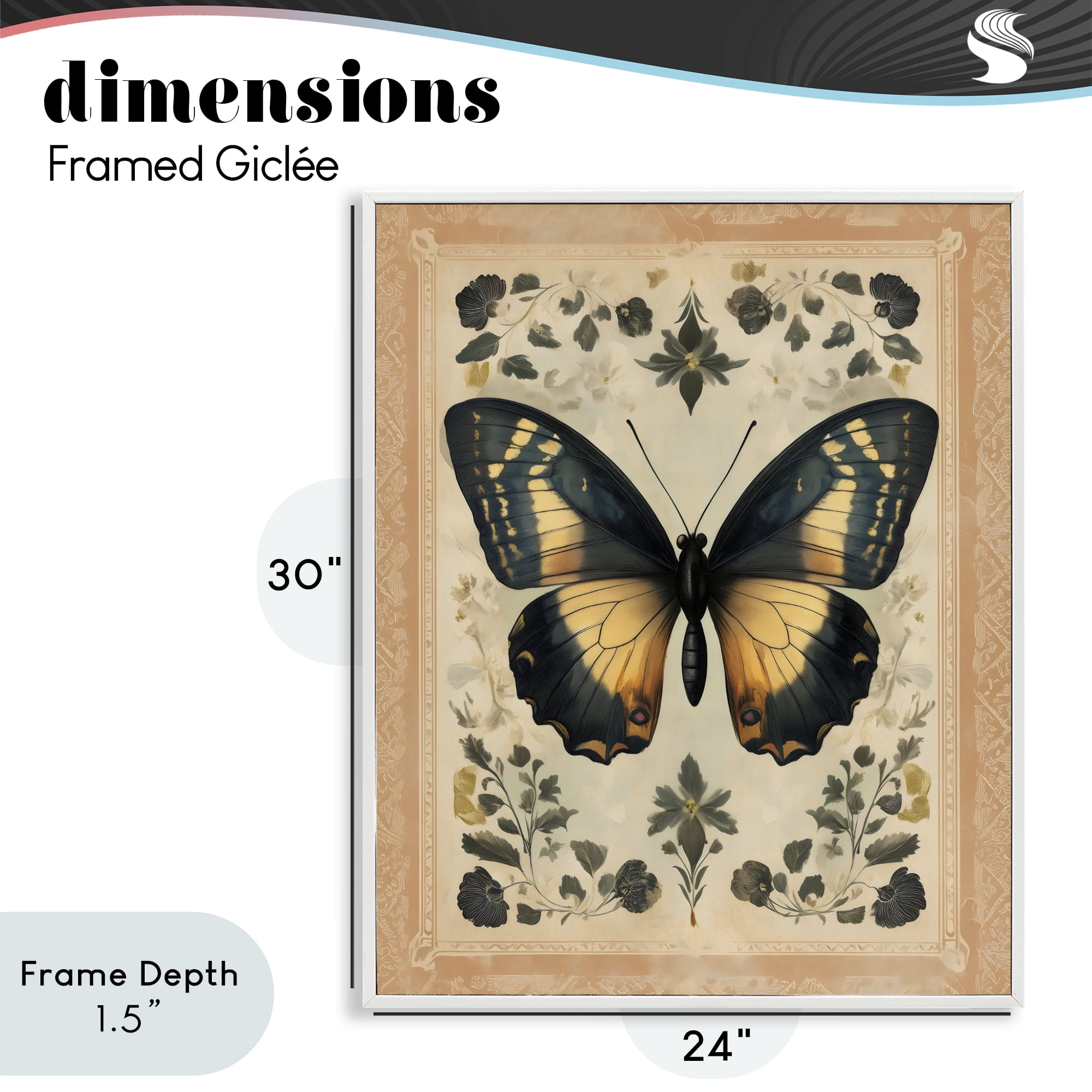 Stupell Industries Vintage Butterfly Botanical Illustration White Framed Giclee Art, design by Arlington Prints