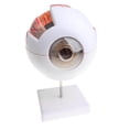 thumbnail image 1 of Modelo Globo ocur 3D CUTICAT 6 partes 3 veces agrandado, 1 of 8