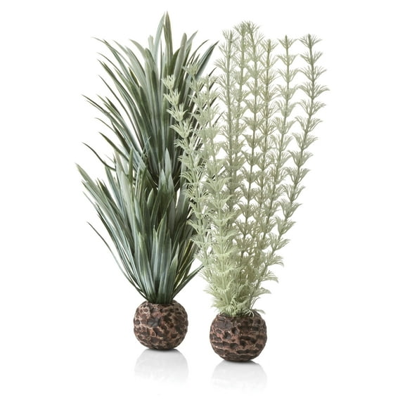 biOrb Small Ambulia Plant Set - Aquarium Plant Decoration