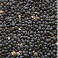 thumbnail image 3 of Hunza Organic Black Beluga Lentils (2-lbs), 3 of 3