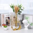 thumbnail image 4 of AMERTEER Hydroponic Vase Pots Creative Heart Shaped Rectangle Triangle Five-Pointed Star Table Home Decoration Small Flowerpot, 4 of 24