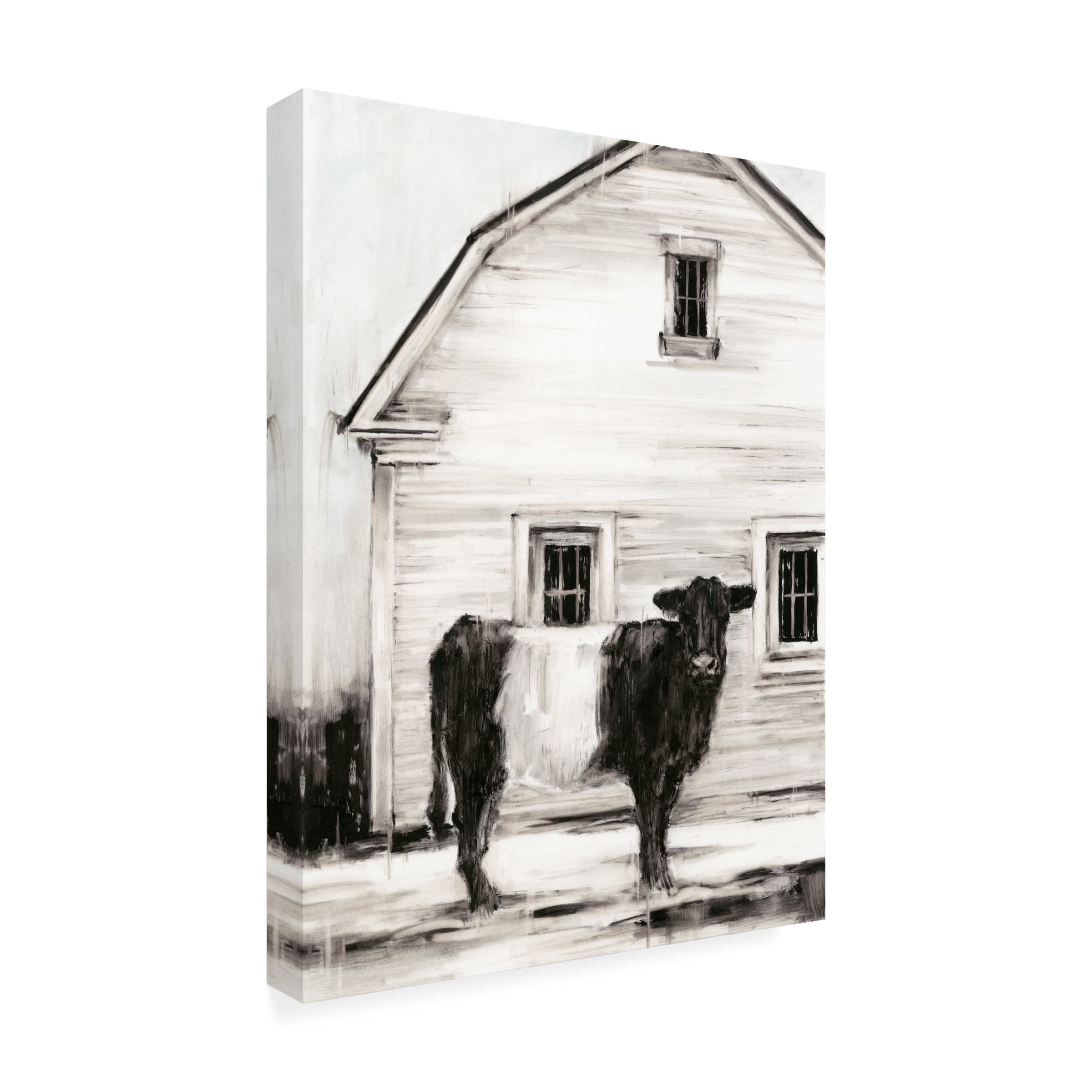 Ethan Harper 'Belted Galloway I' Canvas Art