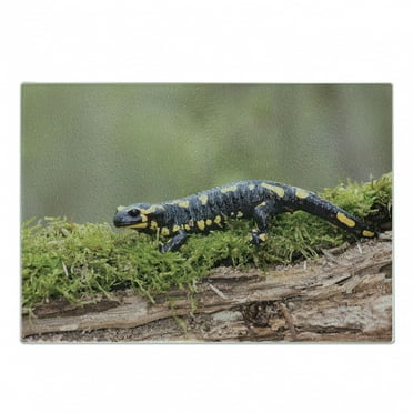 Salamander Cutting Board, Picturesque of a Walking Animal on Branch with Moss Blurry Background Print, Decorative Tempered Glass Cutting and Serving Board, in 3 Sizes, by Ambesonne