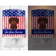 thumbnail image 2 of Patriotic USA Dachshund Chocolate Ceramic Night Light, 2 of 2