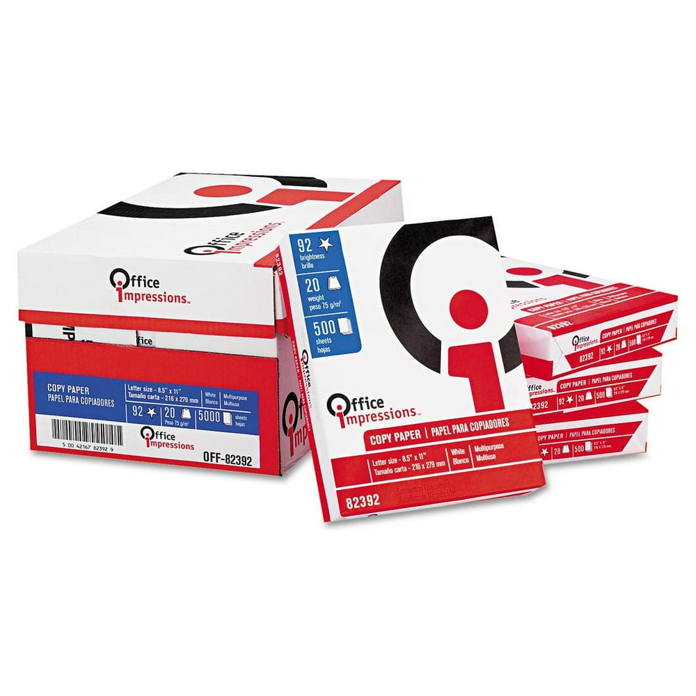 My first impression essay example image