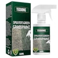 thumbnail image 3 of Grass La Turf Enhance Patchy Dormant Yellowing Grasses For Grass, 3 of 5