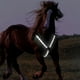 thumbnail image 3 of Arnés ajustable para exteriores con s de alta visibilidad y collar de caballo con LED blanco Cola Collar de coraza de caballo, 3 of 4