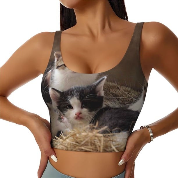 Balery Cat Family Sujetadores deportivos con espalda cruzada para mujer, acolchados, sin costuras, de alto impacto, ideales para yoga, gimnasio, entrenamiento y fitness.-Medium