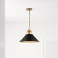 thumbnail image 7 of 60/7525 Nuvo Lighting Outpost - 1 Light Large Pendant In Mid-Century Modern Style-11.63 Inches Tall and 16.5 Inches Wide-Matte Black/Burnished Brass, 7 of 7