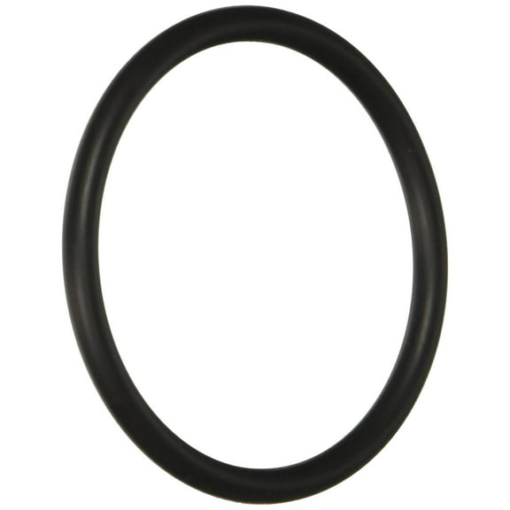 Hayward SX220Z2 Large O-ring Replacement for Hayward Pump and Filter