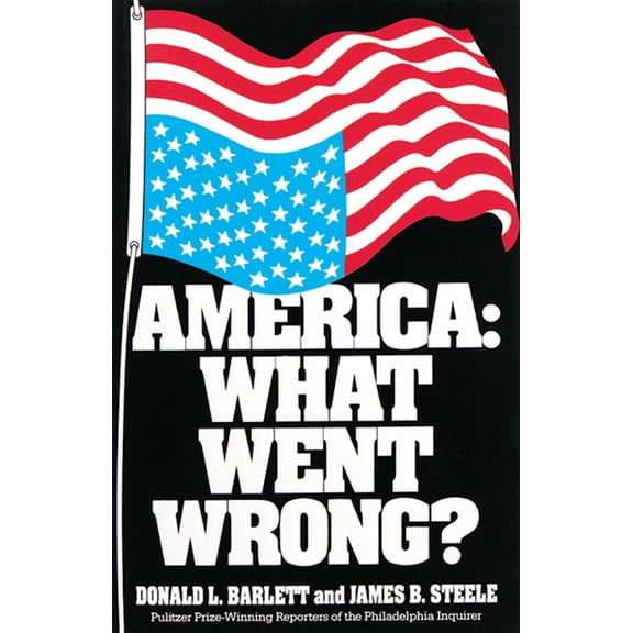 America: What Went Wrong? (Paperback)