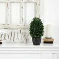 thumbnail image 4 of Nearly Natural 13" Boxwood Artificial Topiary UV Resistant (Indoor/Outdoor), 4 of 5