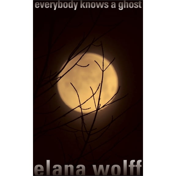 Everybody Knows a Ghost, (Paperback)