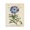 Vintage Blue Daisy Botany, variant on Stupell Industries Cottage Natural Botany Lupine Canvas Art, 16 x 20, by Susan Arnot