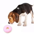 thumbnail image 4 of Pet Toy Interactive Artificial Food Dog Bite Toy Pet Teether Dog Squeaky Toy, 4 of 5