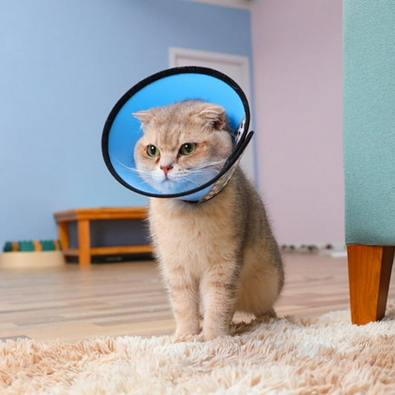 Pet Recovery Cone E-Collar for Cats Puppy Rabbit, Plastic Elizabeth Protective Collar Wound Healing Practical Neck Cover,For Small Medium Large Pets
