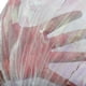 thumbnail image 4 of Alas Led para Adultos, Alas en Forma de Mariposa Led Isis Wings Glow Light Up Trajes de Danza del Vientre, 4 of 4