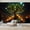 Color 1, variant on Wallpaper Mysterious Library Candles Ancient Books Bookworm Peel and Stick Wall Murals 100"H x 144"W Removable PVC Wall Paper Self-Adhesive Wall Paintings Art Decor for Bedroom Living Room