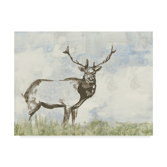 Trademark Fine Art 'Wild Call II' Canvas Art by Jennifer Goldberger