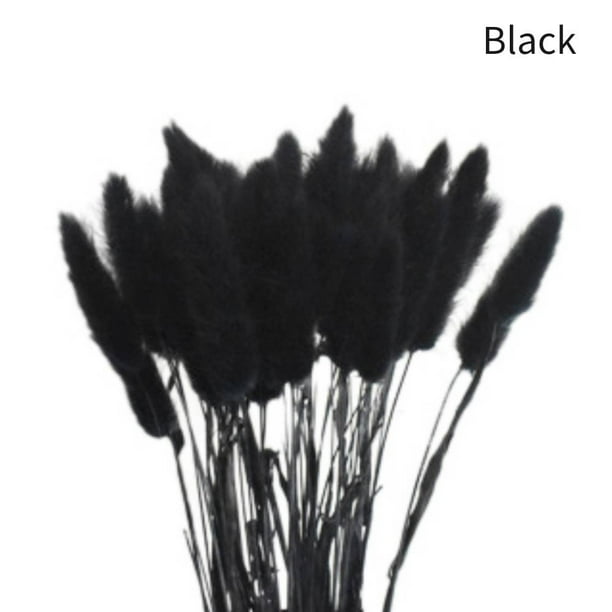50 Pcs Dried Pampas Grass,18