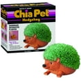 thumbnail image 1 of Hedgehog Chia Pet Decorative Planter, 1 of 2
