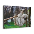 thumbnail image 2 of Majestic Sloth Art Majestic Sloth Print Animal Wall Art Wildlife Canvas Prints Wall Art Ready to Hang Unframed, 2 of 19