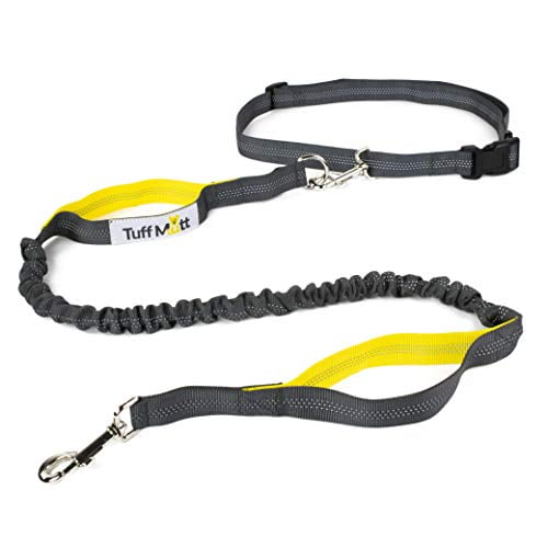 dual handle leash