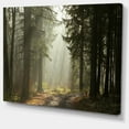thumbnail image 2 of Dark Green Forest with Sun Rays, 2 of 3