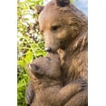 thumbnail image 2 of Estatua de madre y bebé oso de Sculpture Hi-Line Gift Ltd., 2 of 7