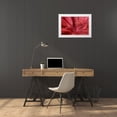 thumbnail image 3 of Murdock, Ramona 32x23 White Modern Wood Framed Museum Art Print Titled - Peonia Insight I, 3 of 4