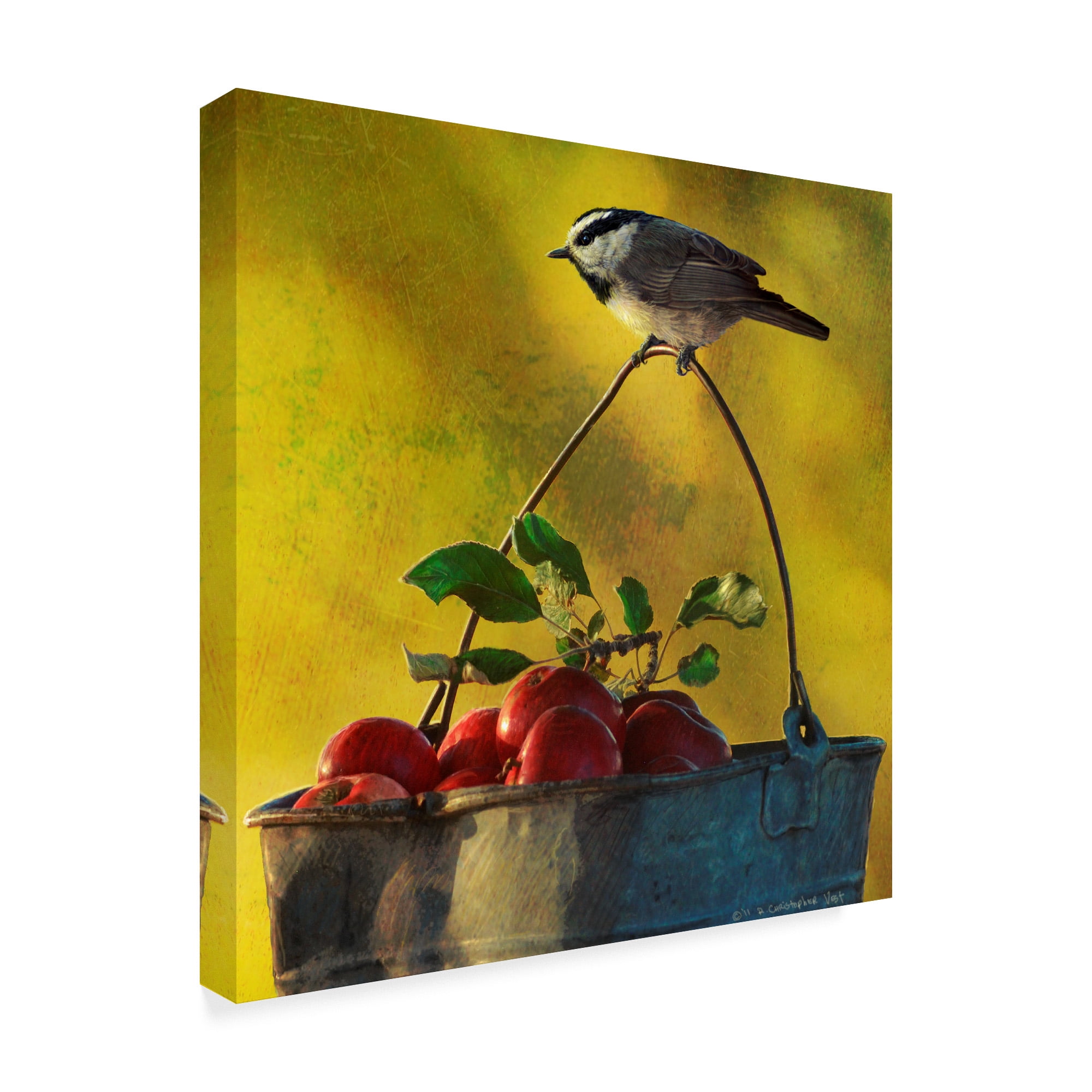 Trademark Fine Art 'Apples And Chickadee' Canvas Art by Chris Vest
