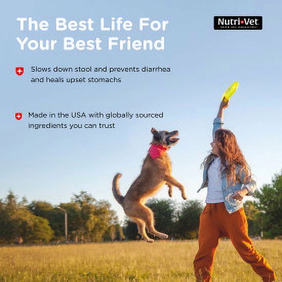 Nutri-Vet Anti-Diarrhea Digestive Remedy for Dogs - Mint Flavor - 4 oz.