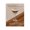 Salted Caramel Martini Glass, variant on Stupell Industries Traditional Chocolate Martini on Brown Canvas Art, 16 x 20, by Marcus Prime