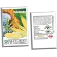 thumbnail image 6 of Coastal Bi-Color Sweet Corn Seeds for Planting, 50+ Seeds Per Packet, Non GMO Seeds, Botanical Name: Zea mays, Great Home Garden Gift, 6 of 7