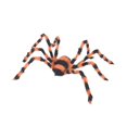 thumbnail image 2 of Decoraciones de Halloween araña realista juguete de animal shamjiam 90cm, 2 of 8