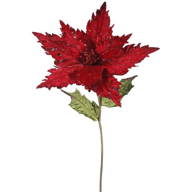 Vickerman OF160903 Tige de Fleur de Poinsettia Rouge&44; 26 & 13 Po.