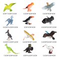 thumbnail image 1 of 12 Pcs Figurines d'Animaux Réalistes pour Collection Jouets de Fête pour Enfants Oiseau, 1 of 9