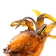 thumbnail image 4 of señuelo de pesca,Señuelo de cangrejo artificial,Señuelo de cangrejo falso, 4 of 9